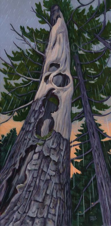 Rain - Original artwork depicting life on Vancouver Island