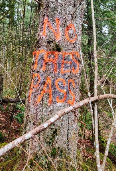 Access to wilderness is essential to thrive. Tree in the forest with "No Trespass" painted on it