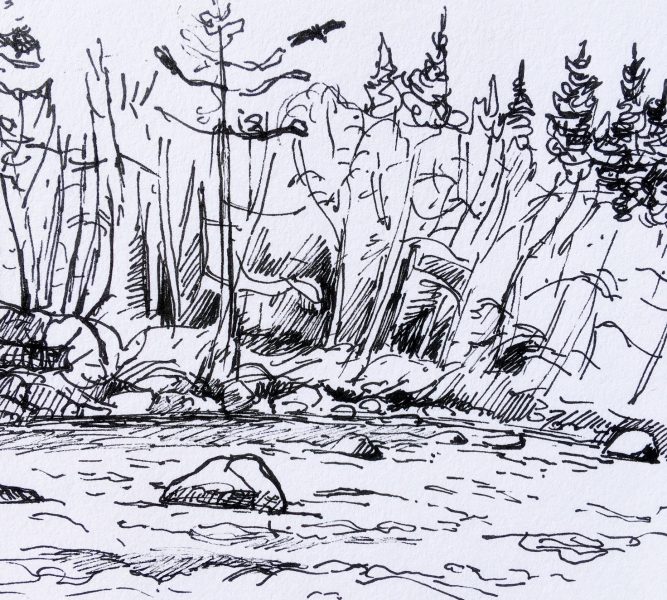 pen and ink sketch of river and trees