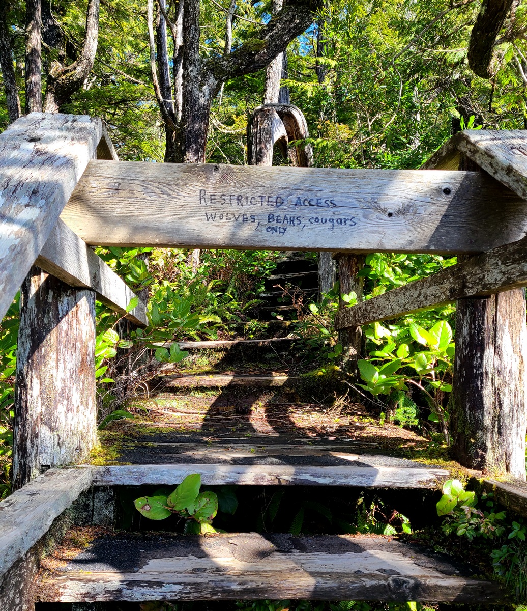 The Surprising Lesson in "Alone" | Tracy Kobus